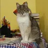 Отзыв от Эмма Русакова